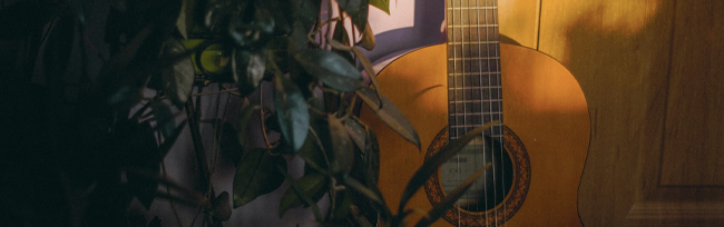 Image entête - Guitar'Passion 13